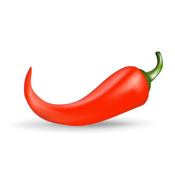 Rode hete chili peper. Realistisch vectorbeeld met schaduw geïsoleerd op witte achtergrond - Vector, afbeelding