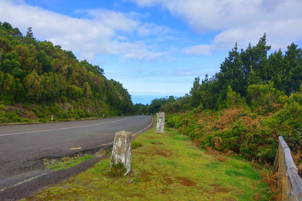 Krásná malebná cesta na zeleném ostrově Madeira. Slunečný den. - Fotografie, Obrázek