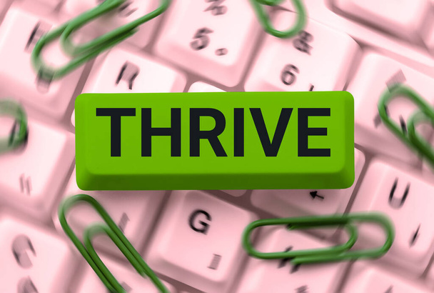 Текст, показывающий вдохновение Thrive, бизнес подход думать позитивно продолжать процветать и процветать Время цвести - Фото, изображение