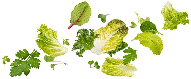 Folhas de salada caindo isoladas em fundo branco com caminho de recorte, mistura de alface fresca, rúcula, couve, espinafre e folhas microverdes diferentes - Foto, Imagem
