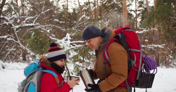 Πατέρας και γιος πίνουν τσάι κατά τη διάρκεια της πεζοπορίας τους στο χειμερινό δάσος. 4k ανάλυση αργή κίνηση βίντεο. - Πλάνα, βίντεο