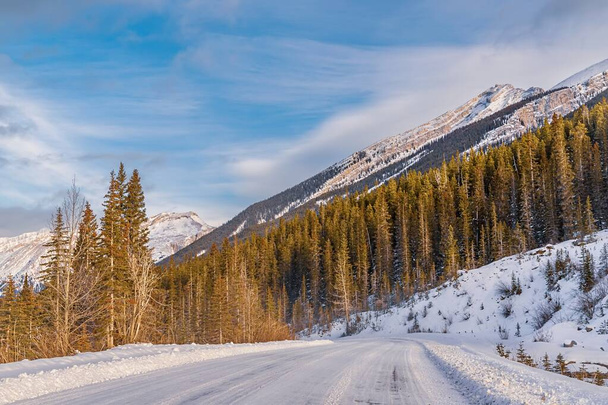 Snowy Road Through The Canmore Mountains - Φωτογραφία, εικόνα