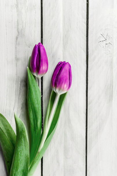 Tulip flowers on wood - Φωτογραφία, εικόνα