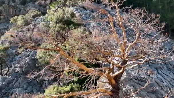 úžasné místo v nejkrásnějším kaňonu Sapadere - Záběry, video