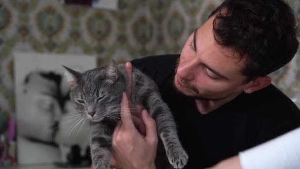 Mladý muž si hraje s jejich kočkou na posteli. L 'uomo hladí načechranou šedou kočku. - Záběry, video