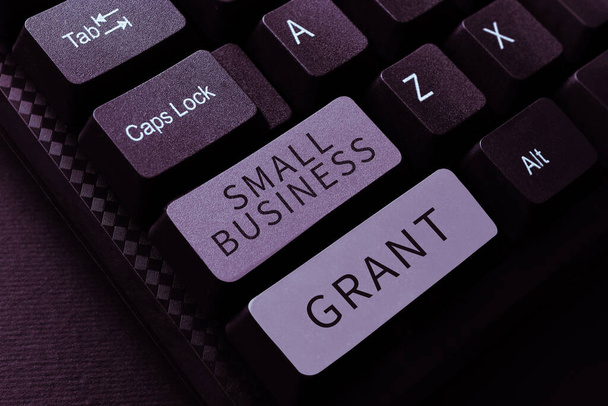 Sign displaying Small Business Grant, Business idea an individual-owned business known for its limited size - Photo, image