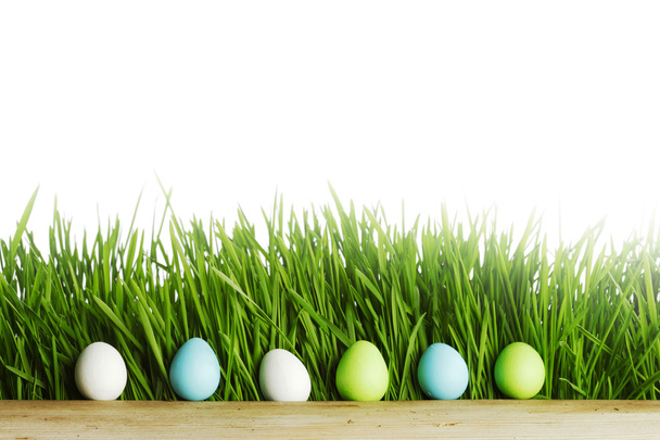 Row of Easter Eggs in grass - 写真・画像