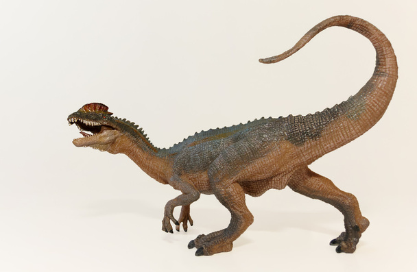 A sluiten van een Crested Dilophosaurus dinosaurus - Foto, afbeelding
