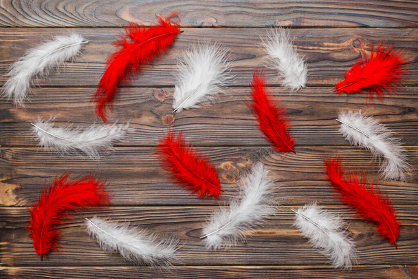 Close up to bright colorful feathers background. Colored feather background, top view. - Photo, Image