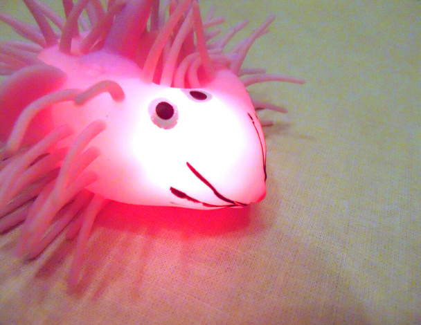 antistress toy with light on inside - Photo, image