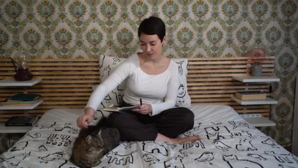 Kaunis nainen leikkii kissansa kanssa makuuhuoneessa. Nainen silittää pörröistä harmaata kissaa.. - Materiaali, video