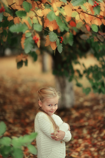 Girl in the autumn forest - Фото, изображение