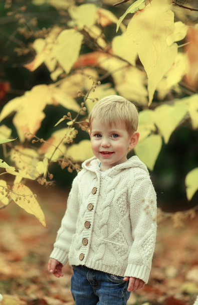 Boy and yellow foliage - Fotoğraf, Görsel
