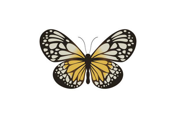 Vektorgrafik des fliegenden Schmetterlings in einer Draufsicht isoliert auf weißem Hintergrund. - Vektor, Bild