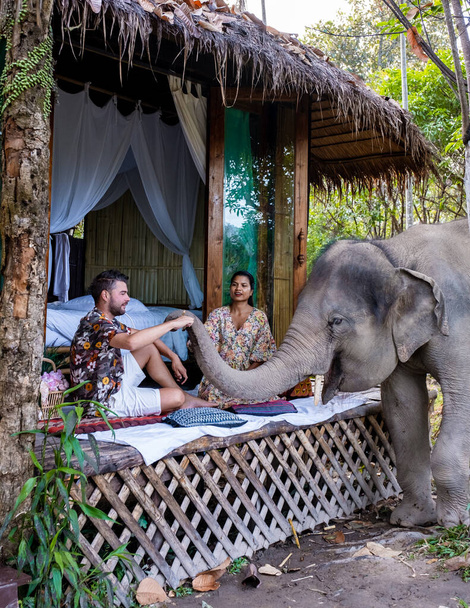 Een koppel bezoekt een olifant heiligdom in Chiang Mai Thailand tijdens vakantie, een olifant boerderij in de bergen jungle van Chiang Mai Thailand.  - Foto, afbeelding