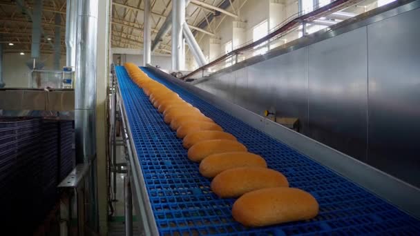Ekmek fırını gıda fabrikası. Ekmekler taşıyıcıda. Yüksek kalite 4k görüntü - Video, Çekim