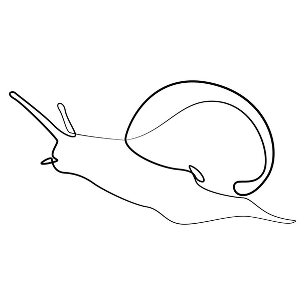 Linear drawing of a snail. Vector illustration, minimalism, one line - Vetor, Imagem
