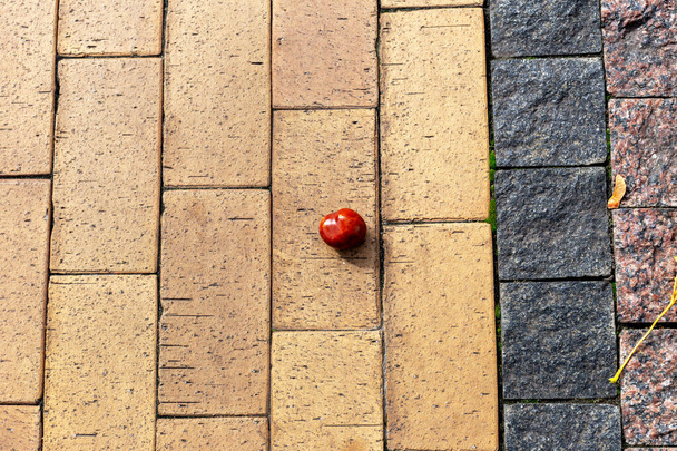 Chestnut fruit and other objects on the ground on the tiles in the sunshine. City landscape. The concept of life and development - Foto, immagini