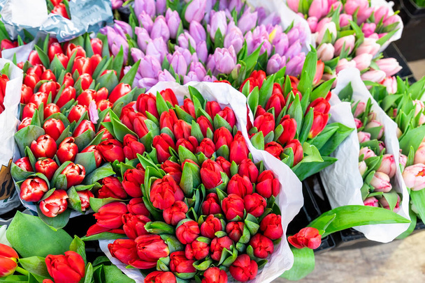 Many multicolored fresh tulips bouquets background. Dutch flower market stall or store. Wholesale warehouse and retail flower shop. Florist design service. Woman or Valentines day gift present. - Fotoğraf, Görsel
