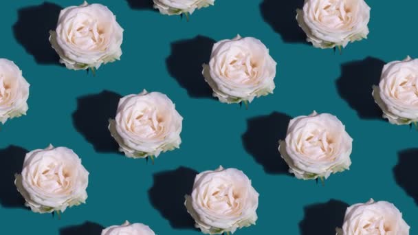 Valkoisesta ruususta tehty liikkuva kuvio, jossa on kovat varjot vihreällä taustalla. Luova kukka animaatio. Laadukas 4k kuvamateriaalia - Materiaali, video