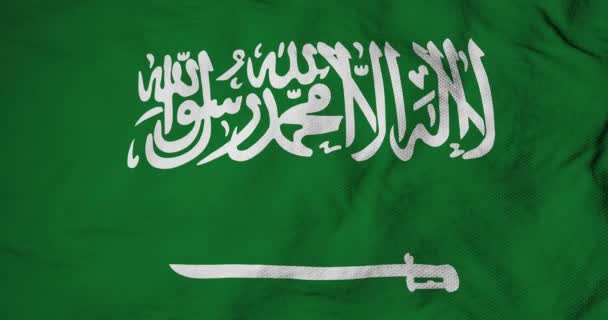 Waving flag of Saudi Arabia in 3D rendering - Materiał filmowy, wideo