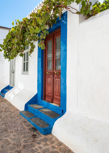 Коричневая двойная дверь с синей рамой и лестницей на побеленной стене, украшенной виноградом в городе Гидра, Греция. - Фото, изображение