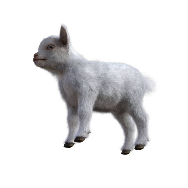 Goat baby character on transparent background. 3d rendering illustration for collage, clipart, composting. - Foto, afbeelding