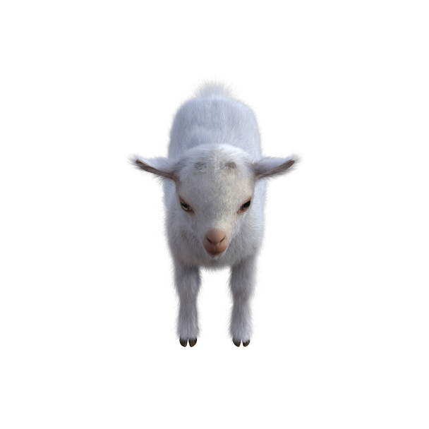 Goat baby character on transparent background. 3d rendering illustration for collage, clipart, composting. - Valokuva, kuva