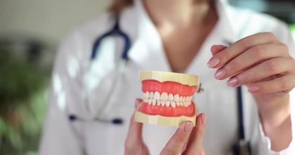 Οδοντίατρος δείχνει προβληματικές περιοχές των δοντιών σε τεχνητό σαγόνι closeup. Όμορφη υγιή δόντια και εγκατάσταση καπλαμά - Πλάνα, βίντεο