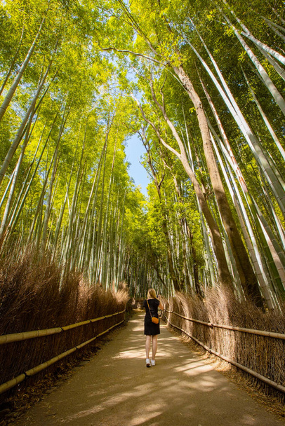 Bambu bitkilerinin arasında dikilen kadının dikiz görüntüsü. Dişi, boş zamanlarını ormanda geçiriyor. Tatilde.. - Fotoğraf, Görsel