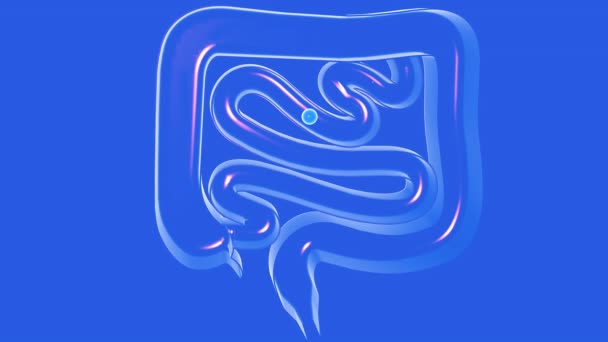 3d animation of transparent glass of gases passing through the large and small intestine. Digestive system, cut out front view cut out on blue background. - Materiał filmowy, wideo