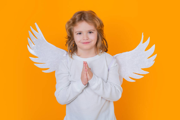 Christmas kids. Little cupid angel child with wings. Studio portrait of angelic kid - Fotoğraf, Görsel