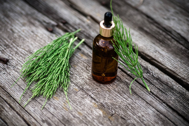 Common Horsetail Medicinal Herb Plant with Distilled Essential Oil Extract and Infusion in a Glass Jug. Also Equisetum Arvense on a wooden vintage table. Glass bottle with drip dispenser with oil - Fotoğraf, Görsel