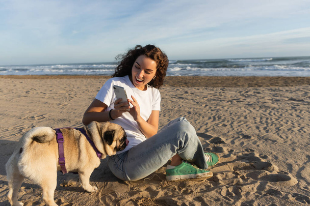 cheerful woman in white t-shirt taking photo of pug dog on sandy beach in Barcelona  - 写真・画像