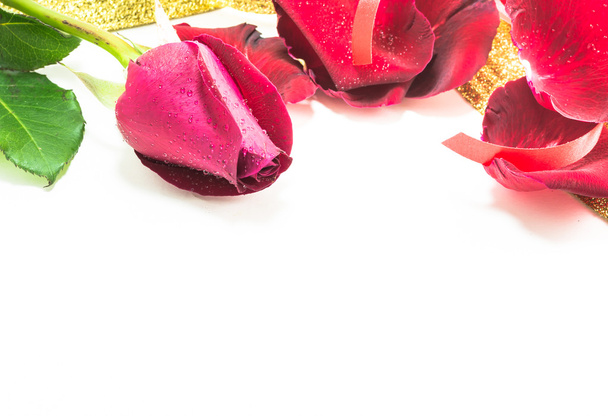 rote Rose auf weißem Hintergrund, Valentinstag Hintergrund - Foto, Bild