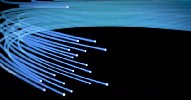 Optical fiber network cable macro shot. Fast internet transmission concept. Seamless loop animation - Filmagem, Vídeo