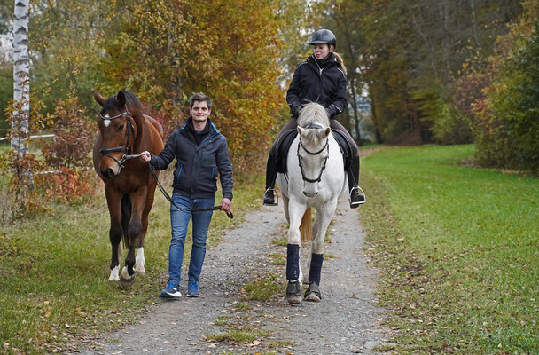 Shooting with brown Rhineland gelding, white mare, her rider and friend - Foto, imagen