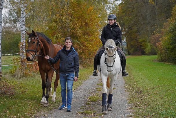 Shooting with brown Rhineland gelding, white mare, her rider and friend - Fotoğraf, Görsel
