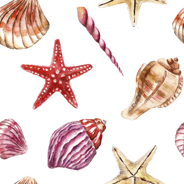 Seamless pattern with sea-shells. Watercolor illustration. - Photo, Image