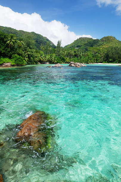 Praia tropical com palmeiras e mar azul-turquesa
 - Foto, Imagem