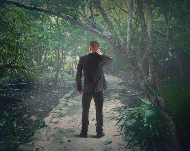 Homem perdido na floresta
 - Foto, Imagem