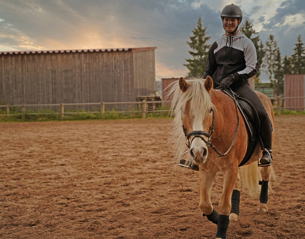 light brown Haflinger with beige mane and rider training on a riding ground in Bavaria - Foto, immagini