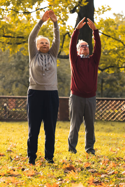 Senior grey-haired man and woman exercising in the park . High quality photo - Fotografie, Obrázek