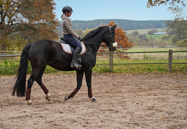 Чорний кінь і вершник тренуються на верховій їзді в Баварії. - Фото, зображення