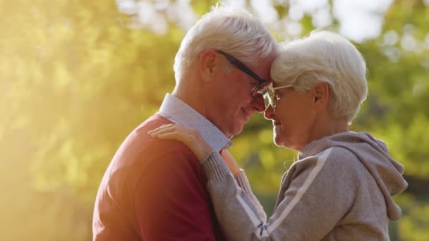 Senior grey-haired man and woman in love hugging and touching foreheads. High quality photo - Filmmaterial, Video