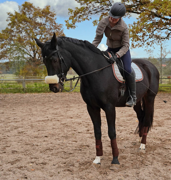 Musta hevonen ja ratsastajan koulutus ratsastusalueella Baijerissa - Valokuva, kuva