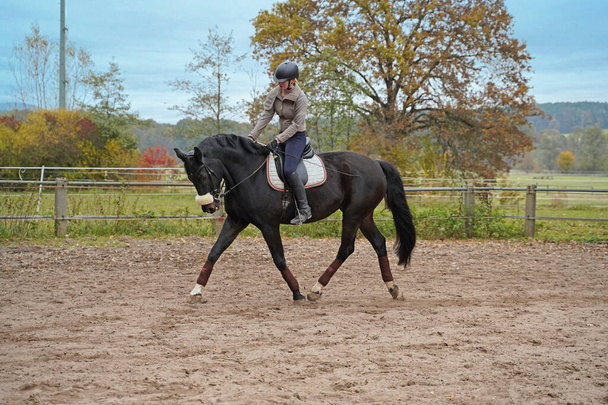 black horse and rider training on a riding ground in Bavaria - Zdjęcie, obraz
