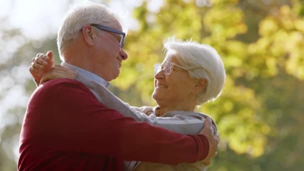 Senior married couple hugging and looking at each other in sunny autumn nature. High quality photo - Filmagem, Vídeo