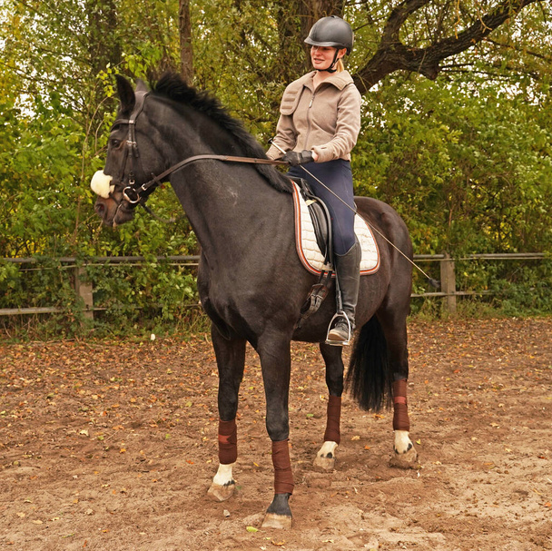 バイエルンの乗馬場での黒い馬とライダーの訓練  - 写真・画像