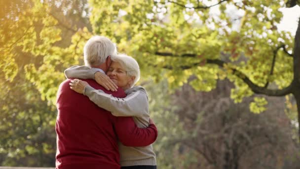 Retired grey-haired man and woman in love hugging outdoor. High quality photo - Filmati, video